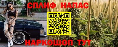 ECSTASY Гатчина