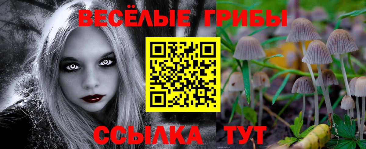 Ревда  Псилоцибиновые грибы Magic Shrooms  Вход с VPN  Галлюциногенные грибы MAGIC MUSHROOMS 
