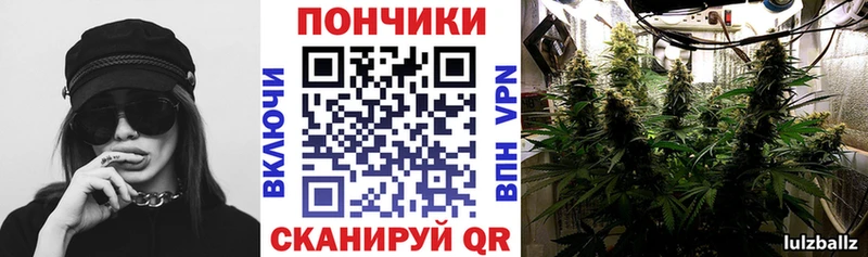Каннабис план  купить наркотик  гидра рабочий сайт  это наркотические препараты  Ревда 
